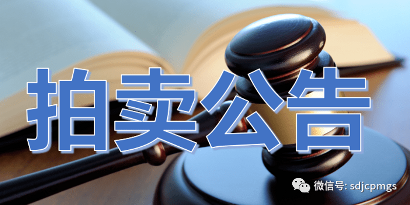 司法拍卖市场动态：透视与洞察